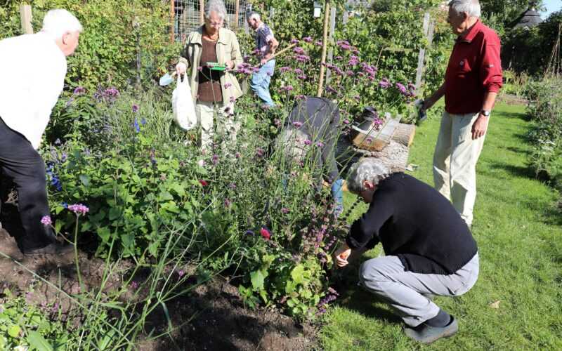 vrijwilligers werken in buurttuin rheden