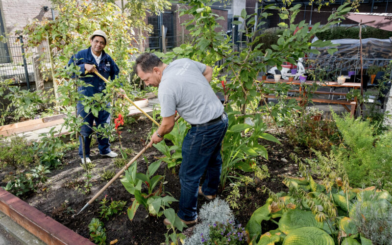 vrijwilligers harken in tuin